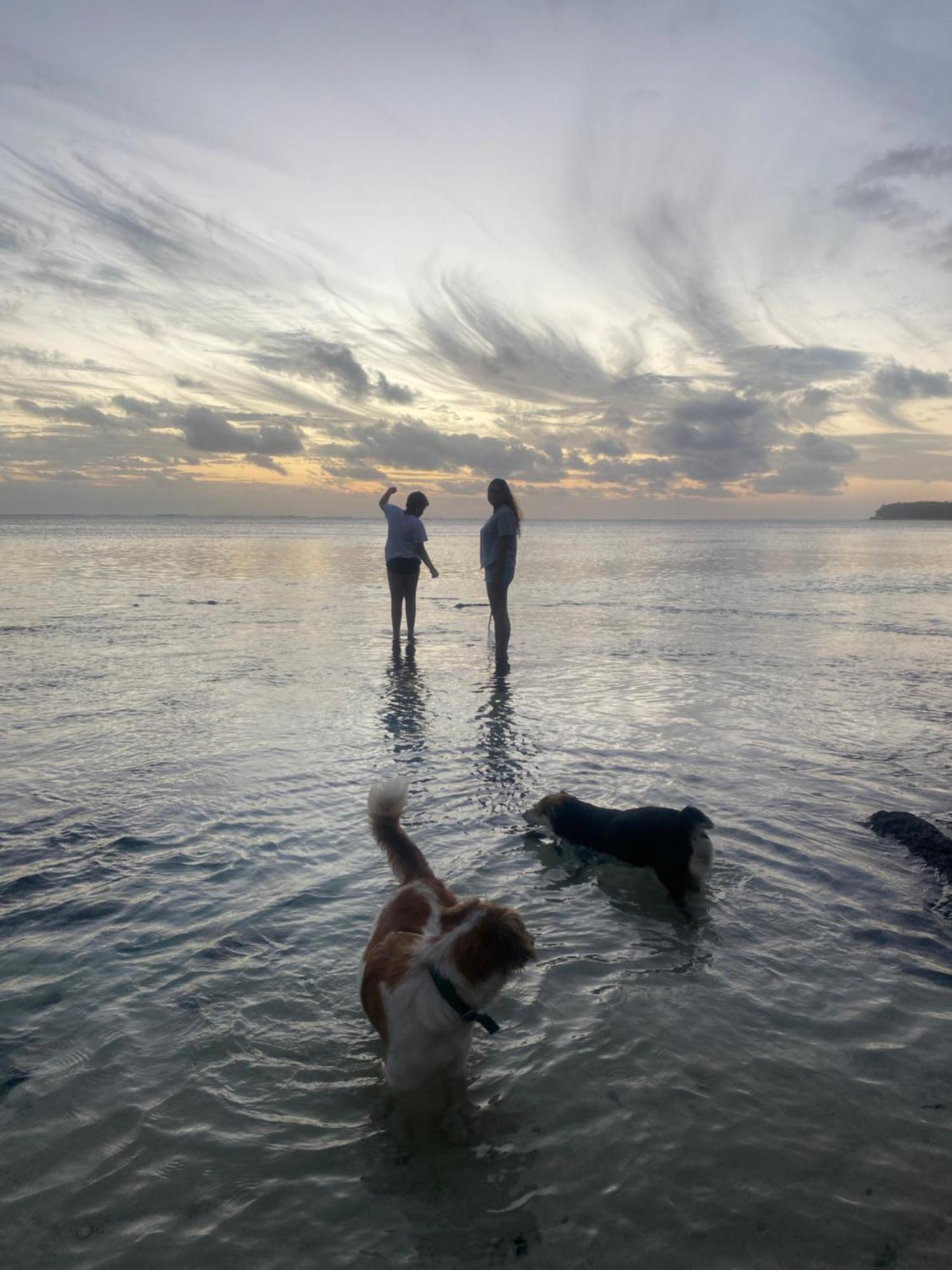 Vacation Beach House South Of Mauritius - Riambel Exteriér fotografie
